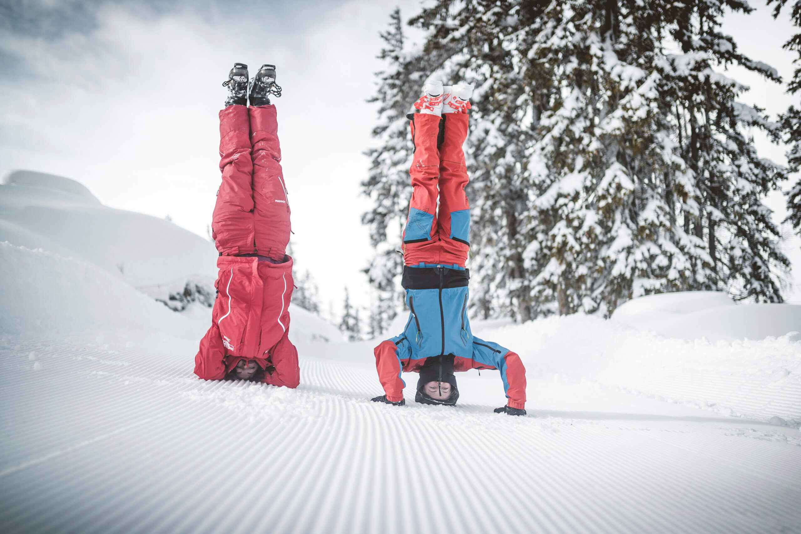 Zwei Personen machen einen Handstand im Schnee, umgeben von verschneiten Tannenbäumen.