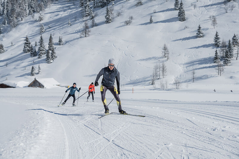 Langlaufen Skating