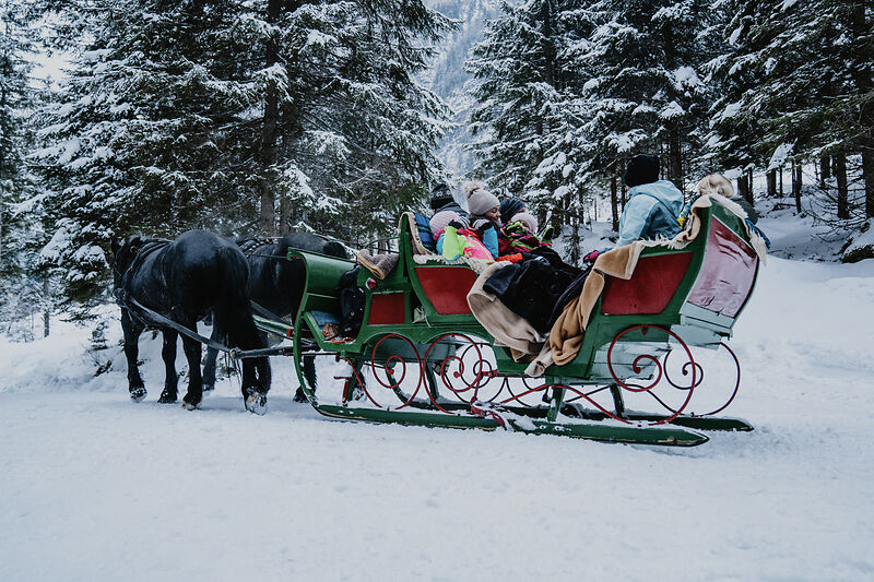 Pferdeschlitten mit mehreren Fahrgästen auf verschneitem Weg zwischen schneebedeckten Bäumen